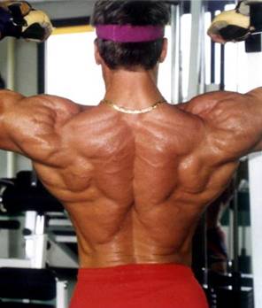 Il dorso da danni di sport